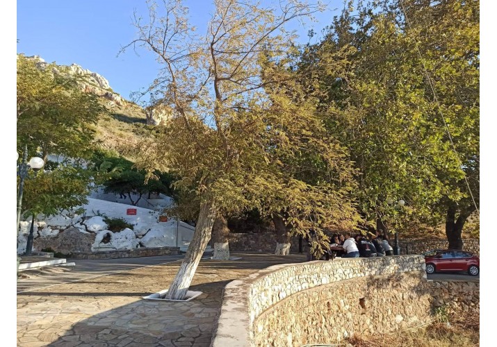 Η ομάδα στην πλατεία της Φλέβας
