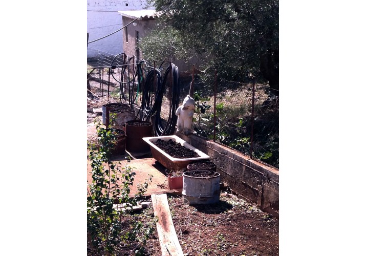 Αυλή οικισμού Γέρακα