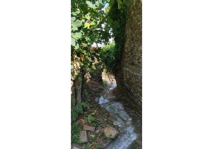Ορειβατικό μονοπάτι