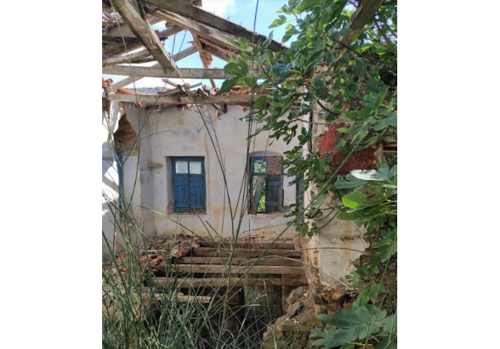 Σκελετός στέγης