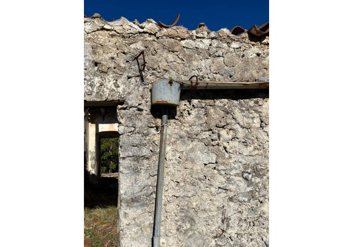 Υδρορροή