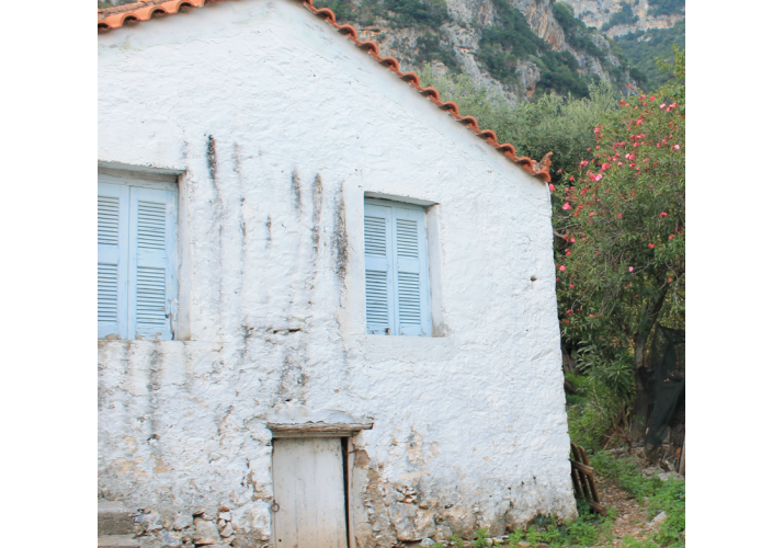 Γαλλικά τύπου ξύλινα παντζούρια 