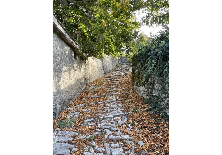 Οι Φθινοπωρινές αποχρώσεις.