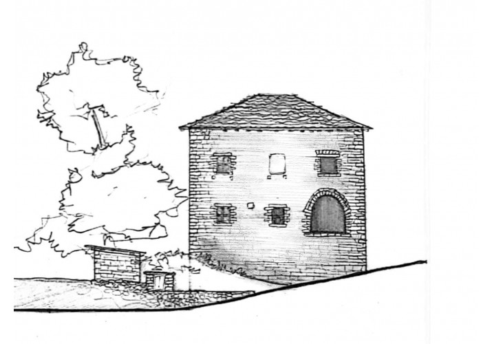 OΨΗ
