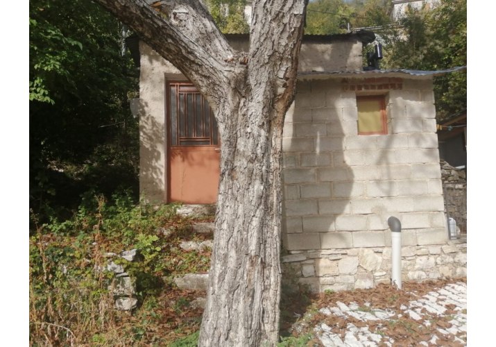 Βοηθητικός χώρος αυλής