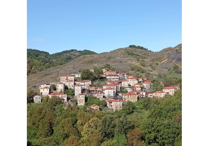 Φωτογραφία της βόρειας όψης του πίσω μαχαλάς . 