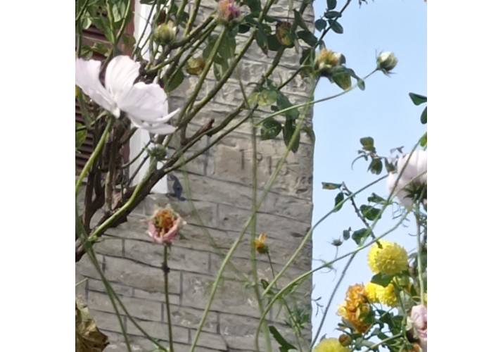 Φωτογραφία ανάγλυφης ημερομηνίας