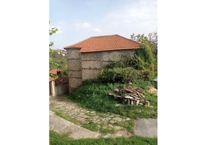 Φωτογραφία Νότιας όψης της κατοικίας 16