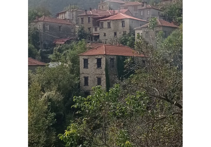 Φωτογραφία της κατοικίας 28 