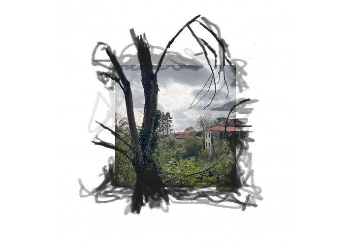 Η φύση σε σχέση με τα κτίρια.