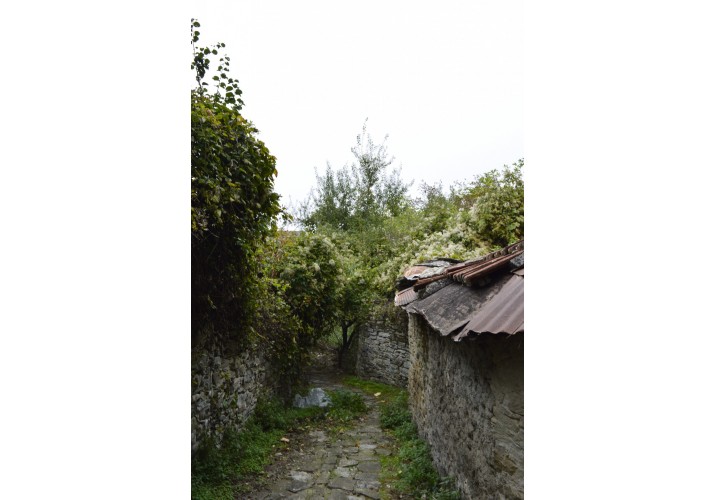 Δημόσιος δρόμος με εκατέρωθέν του μαντρότοιχους.