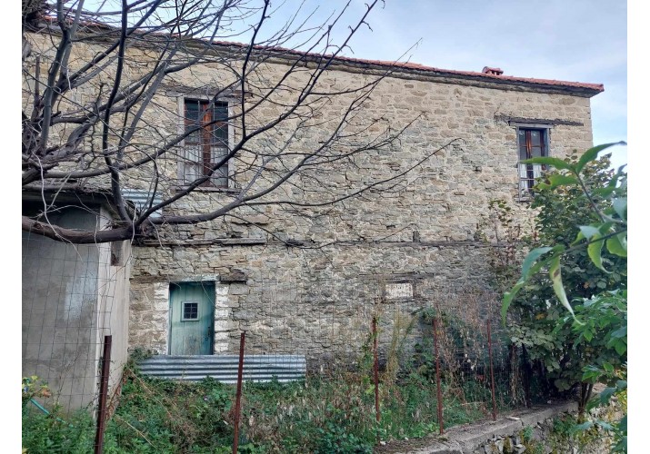 Δυτική Όψη.