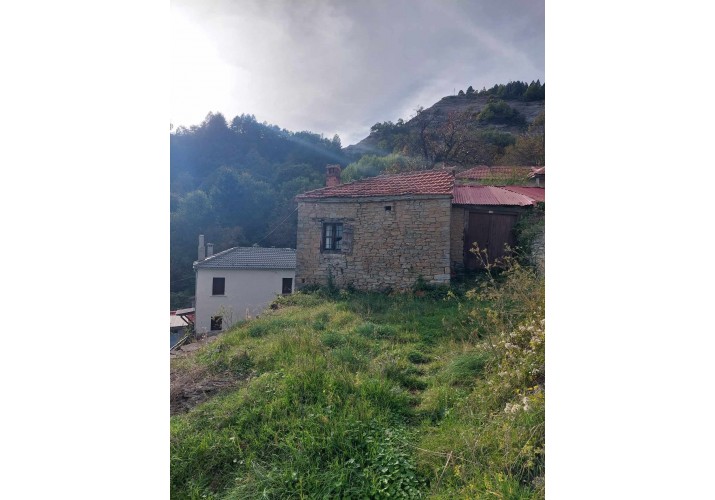 Ανατολική Όψη