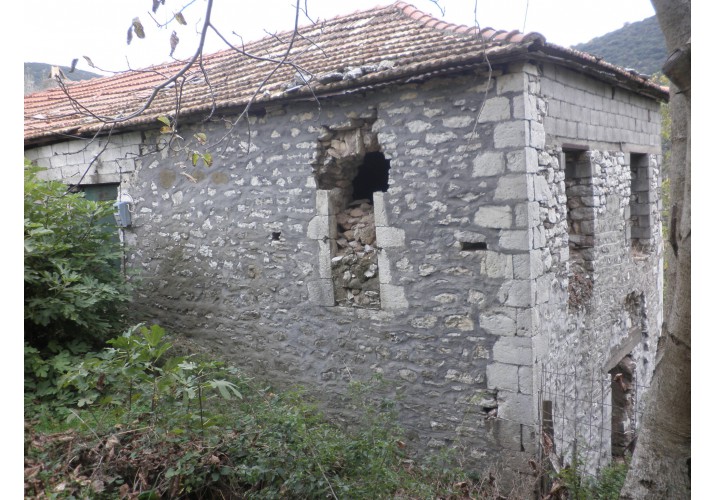 ΟΨΗ Σ15