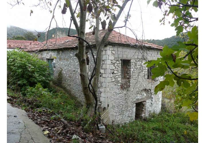 ΟΨΗ Σ15