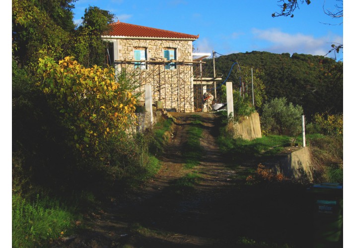 ΟΨΗ Σ19