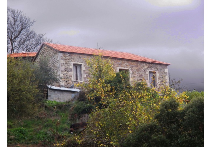 ΝΟΤΙΟΔΥΤΙΚΗ ΟΨΗ Σ4