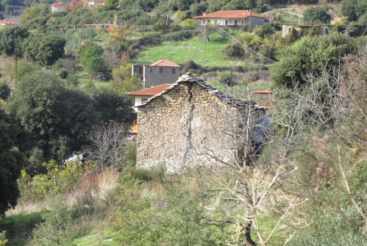 ΟΨΗ Σ7