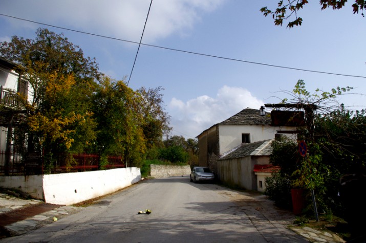 Άποψη του ασφαλτοστρωμένου περιφερειακού δρόμου Αγριάς-Μηλεών 