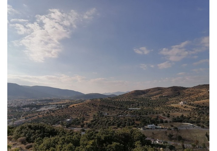 Γενική άποψη των καλλιεργειών της περιοχής