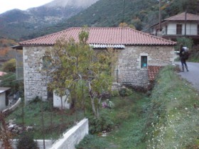 Αυλή με άγρια χόρτα και δρομάκι που οδηγεί στο δρόμο