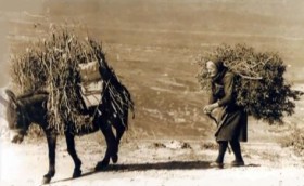 Μεταφορά ξύλων για οικιακή χρήση