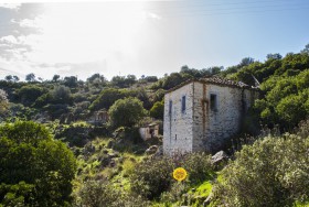 Φωτογραφία 2 : Ερείπιο στον λόφο