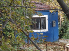 Έντονος χρωματισμός όψης