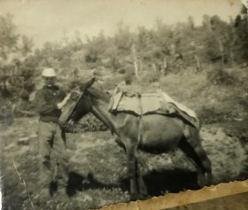 Αγροτικές εργασίες περί το 1930