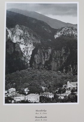 Μονοδένδρι