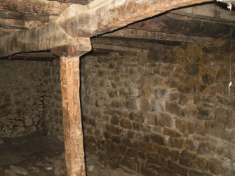 Ξύλινο υποστήλωμα στηρίζει τον κορμό