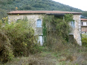 ΟΨΗ Α15