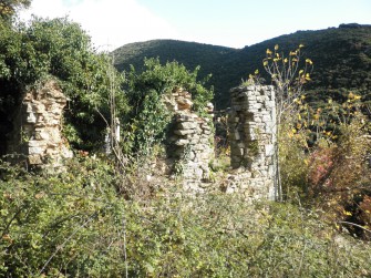 ΟΨΗ Σ41