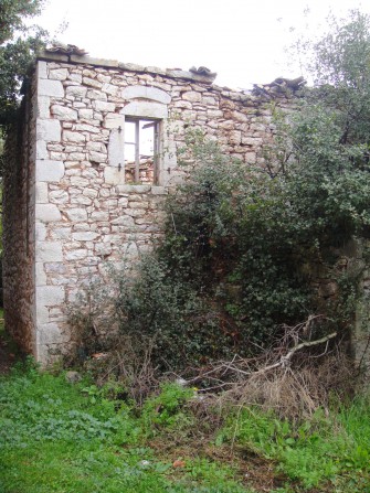 Εικόνα 3