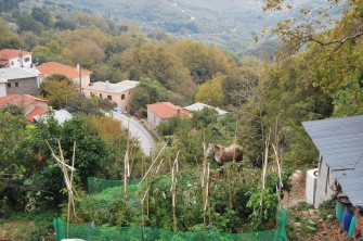 Ένταξη στο φυσικό τοπίο