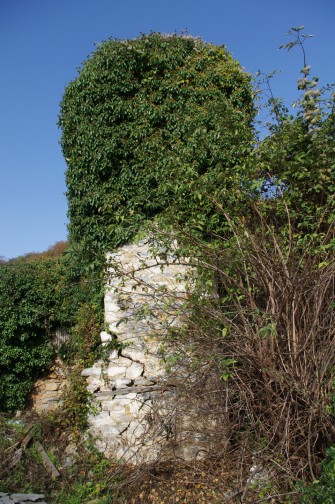 Ερείπιο στο κέντρο της Βυζίτσας.Διασώζεται ένα μέρος του τοίχου του