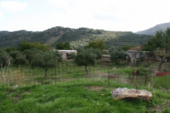 Διαπλοκή του φυσικού περιβάλλοντος με τα κτίσματα του οικισμού