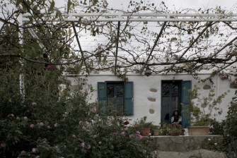 Κ11: πέργκολα αυλής 