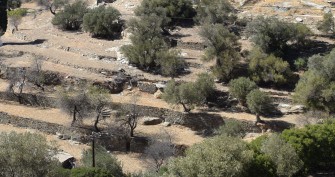 Άποψη αιμασιών