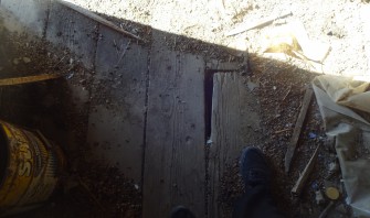 Σήψη σανιδώματος
