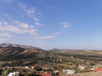 Γενική άποψη των καλλιεργειών της περιοχής