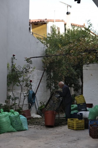 Αγροτική παραγωγή