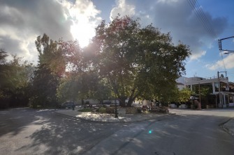 Χώροι εστίασης στο Μπιζάνι
