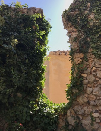 Φυτά αναπτύσσονται στα ερείπια