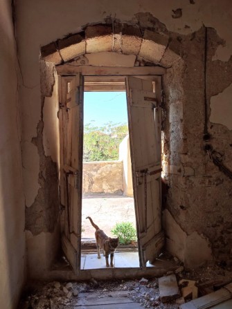 Αποκόλληση κονιάματος
