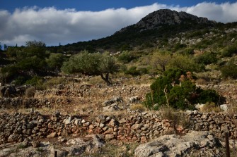 7. Ξερολιθιές & Καλλιέργειες