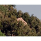 Κτίριο 7