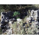 Κτίριο 9