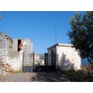 Κτίριο 45