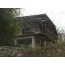 γ_38